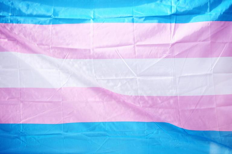 Transgender and Non-binary Counseling l St. Petersburg, FL l McNulty Counseling